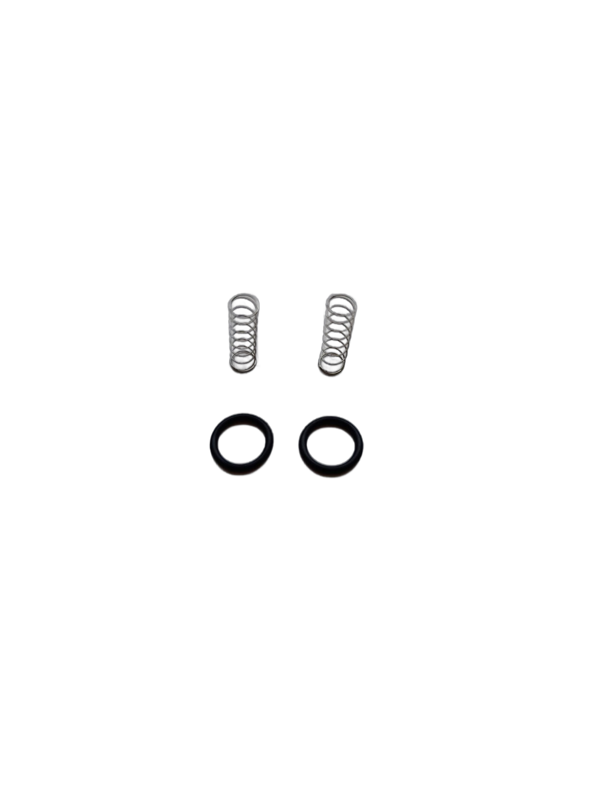 0-RING SPRINGS SET BIC-PUMP